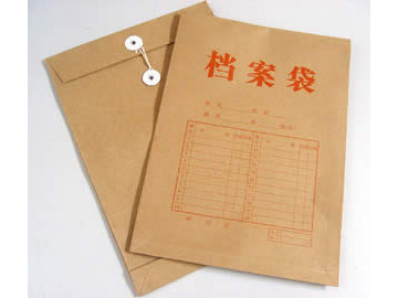 kraft envelope,envelope