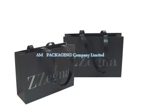 gift bag,shopping bag