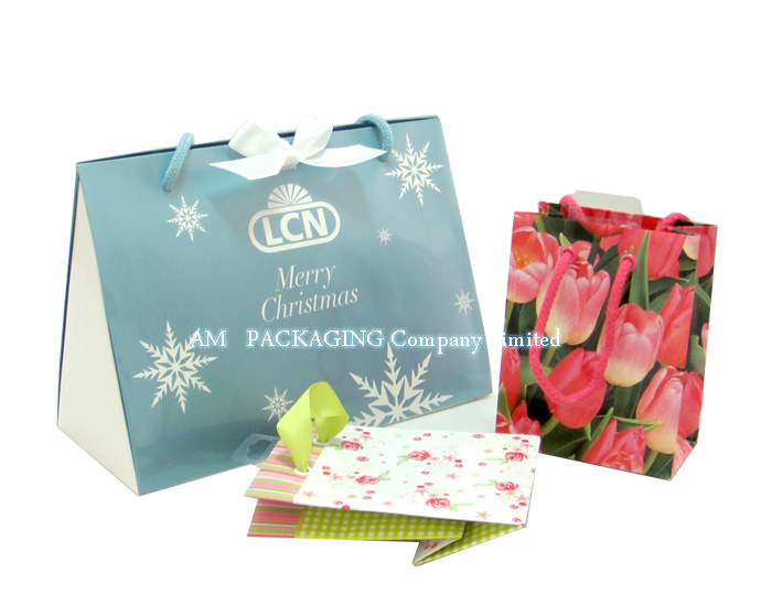 paper packaging gift bag